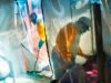 New Ebola outbreak leaves 65 dead as officials warn of cross-border spread