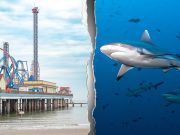 Shark attack turns holiday boating trip into bloody fight for teen’s survival