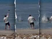 Suspect in viral monk seal harassment video says he was doxxed as federal court fight begins