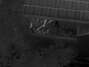 Video shows police take down cop killer with armored vehicle after gunman turned neighborhood into war zone