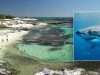Man dies after attack by 13-foot great white shark near popular island resort: officials