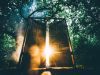 How can you know if your dreams are prophetic or not?