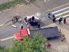 Man killed after horse-drawn carriage bolts and flips near popular New York City tourist destination