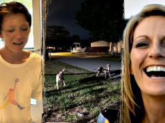 Florida woman mauled to death by dogs that had allegedly terrorized neighborhood, owner charged in killing