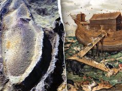 Could Noah’s Ark remains be buried in Turkey? New findings revive age-old debate