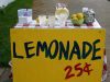 Boston police investigate armed robbery of children’s lemonade stand by suspects as young as 11