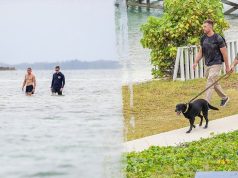 Why investigators are searching both land and sea for missing Michigan woman in Bahamas