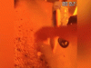 Residents wake up screaming as cops race to rescue them from late-night apartment blaze: video