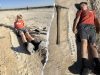 Kansas boy discovers 15-foot marine reptile fossil from 85 million years ago during geology field trip