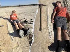 Kansas boy discovers 15-foot marine reptile fossil from 85 million years ago during geology field trip