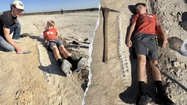 Kansas boy discovers 15-foot marine reptile fossil from 85 million years ago during geology field trip