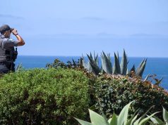 Police in California spot body of 5-year-old swept out to sea