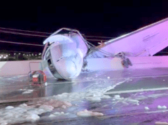 Texas plane crash leaves one dead, more injured after business jet catches fire on highway